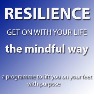 The Mindful Resilience Programme