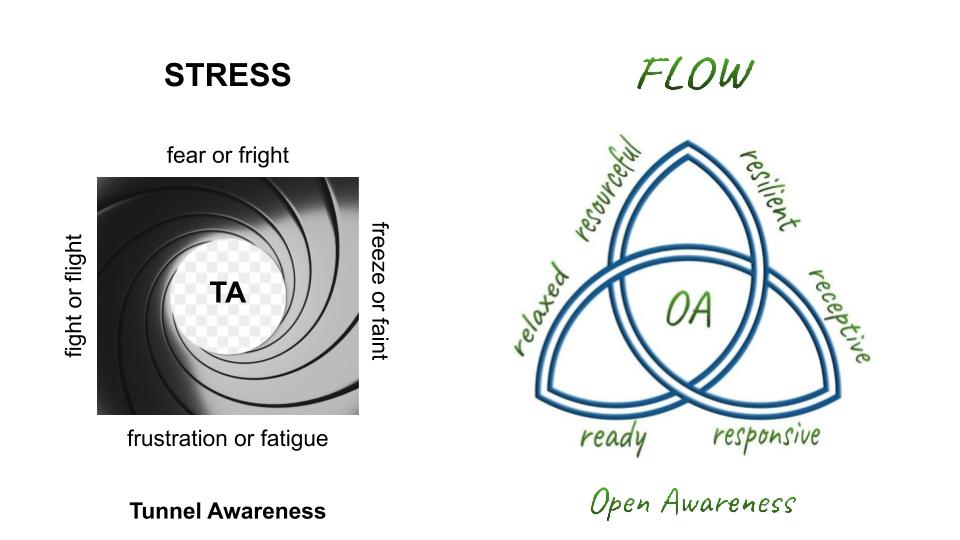 Open Awareness - from Stress - Flow - Jevon Dangeli