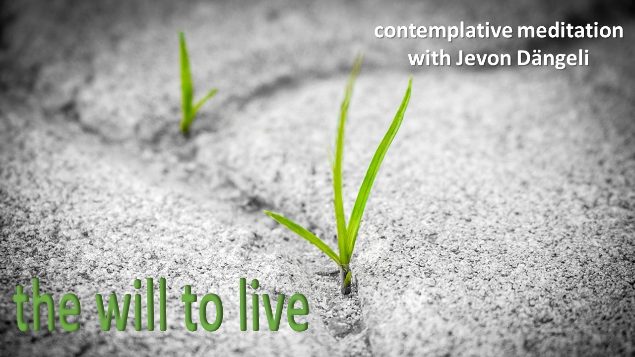 The Will to Live - Contemplative Meditation