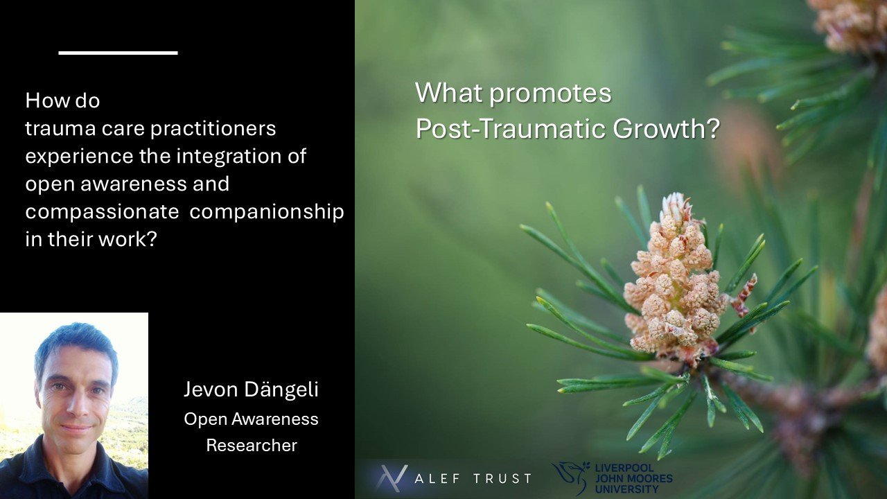 Open Awareness Research by Jevon Dängeli